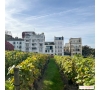 LE VIEUX MONTMARTRE ET SES VIGNOBLES