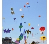 FETE DES CERFS VOLANTS HOULGATE 2025