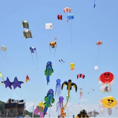 FETE DES CERFS VOLANTS HOULGATE 2025