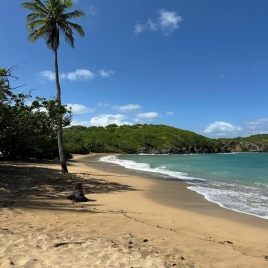 SEJOUR MARTINIQUE JEUNES AGENTS 2025