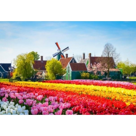 ESCAPADE EN HOLLANDE 2026