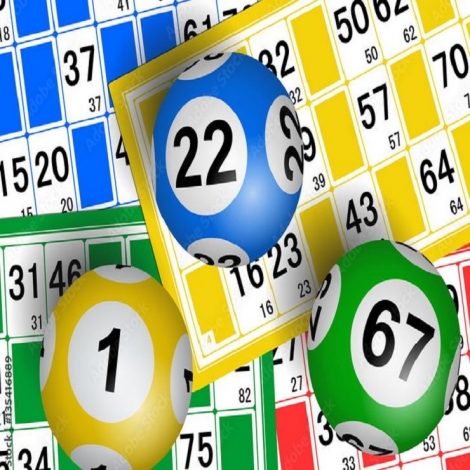 LOTO BINGO 2026