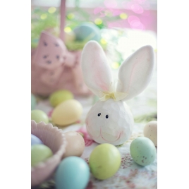 CHASSE AUX OEUFS 2026