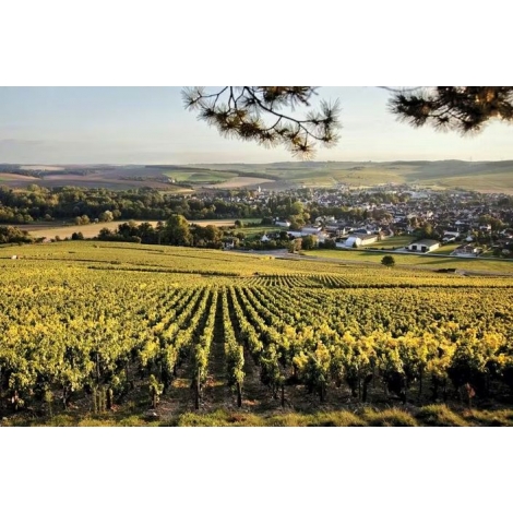 UNE JOURNÉE À CHABLIS 2026