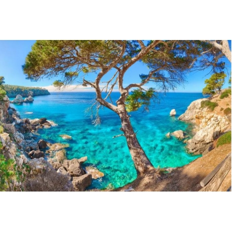 SEMAINE FAMILLE A MAJORQUE 2026