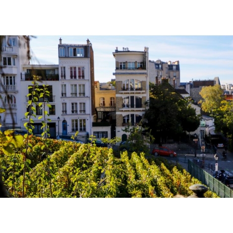 LE VIEUX MONTMARTRE ET SES VIGNOBLES 2026